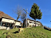 Monte Zucco (1232 m) ad anello in solitaria sui sentieri di casa (Zogno-300 m) 18nov闂????20 - FOTOGALLERY